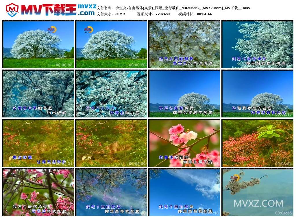 沙宝亮-自由落体(风景)_国语_流行歌曲_MA306362